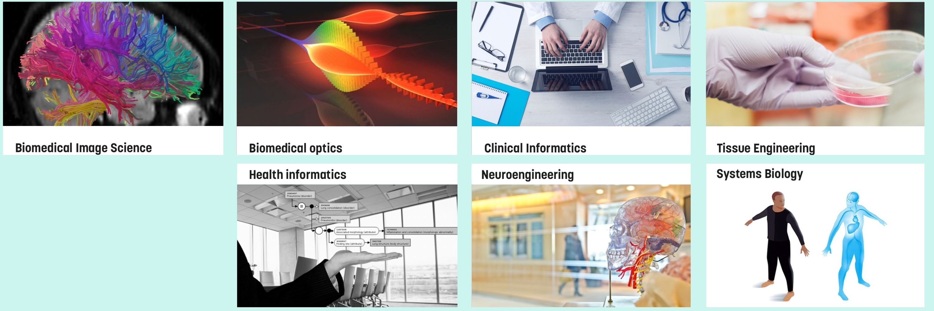 Department of Biomedical Engineering (IMT)