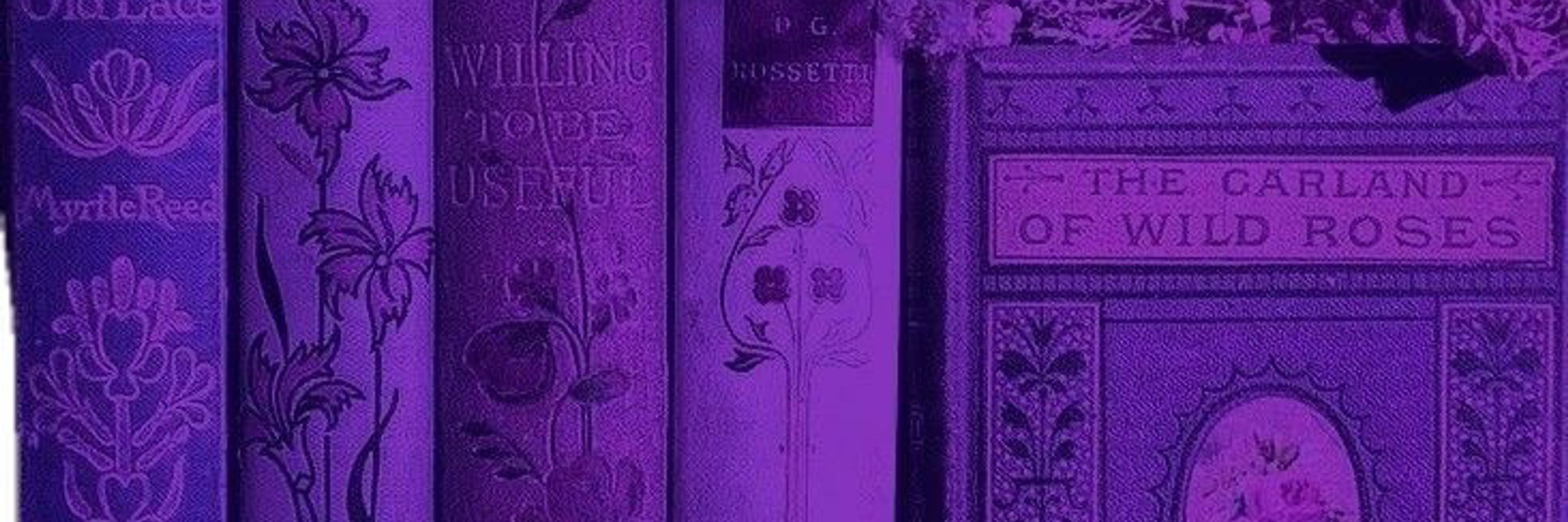 Mi ✧