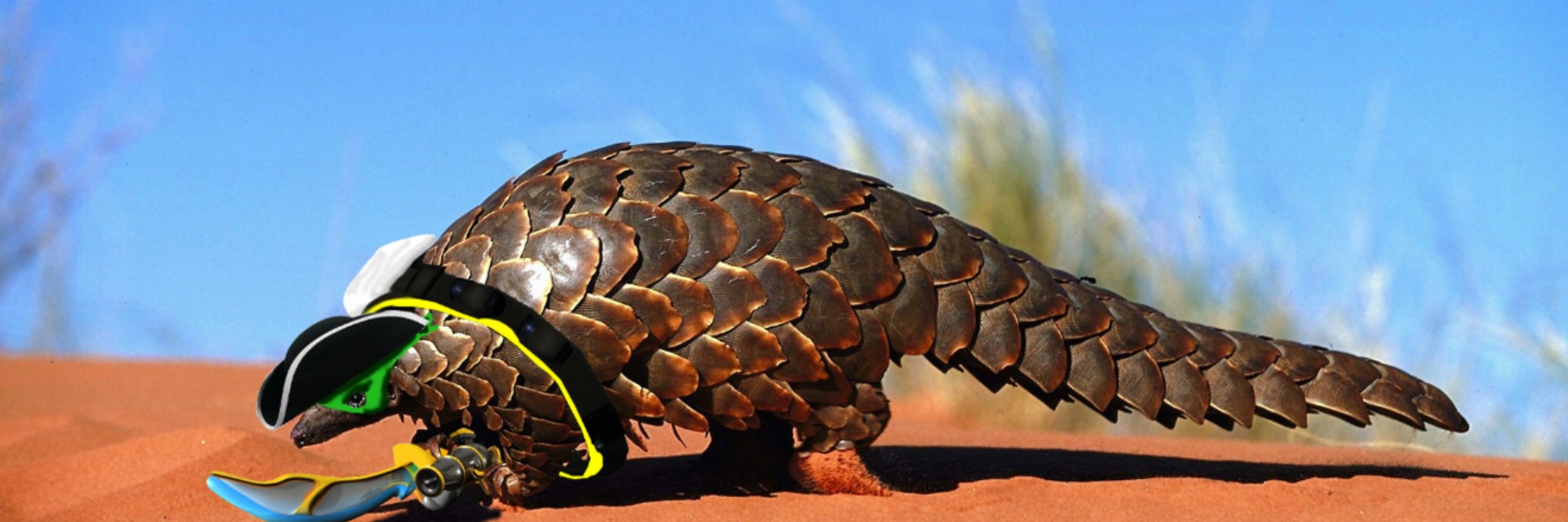 PANGOLIN2