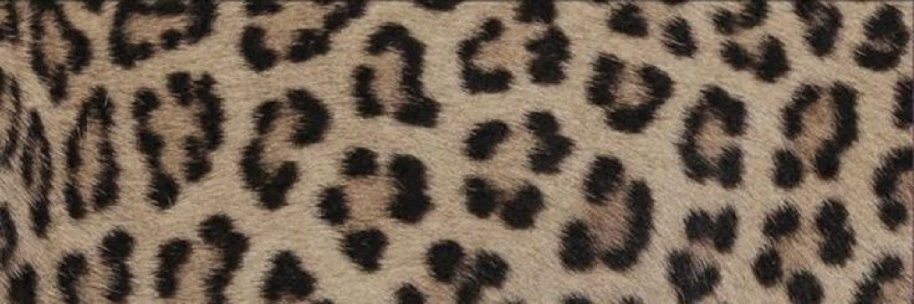 𝑘𝑎𝑘𝑎𝑢🐆