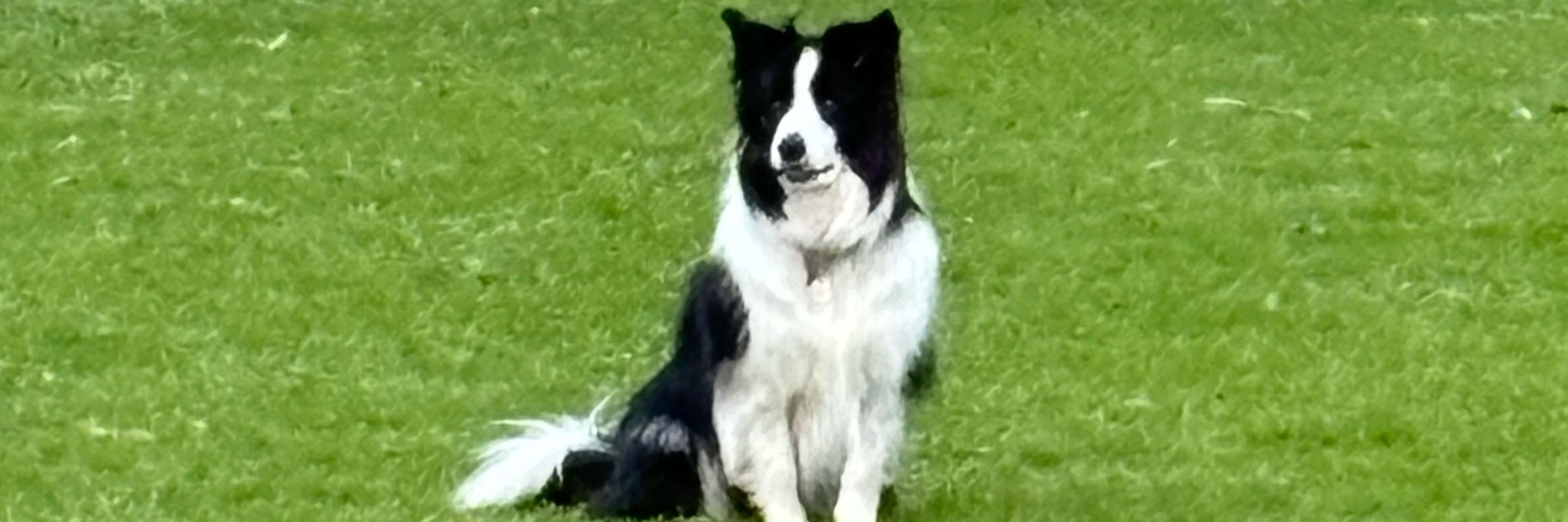Yamba15