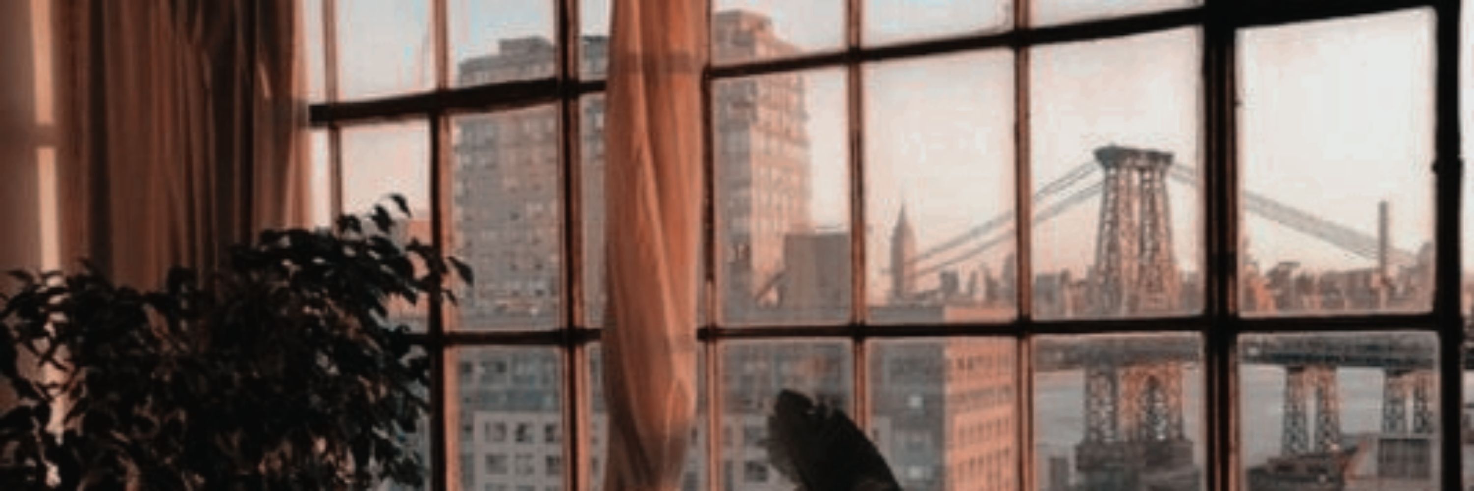 𝒄𝒂𝒏𝒏𝒂.