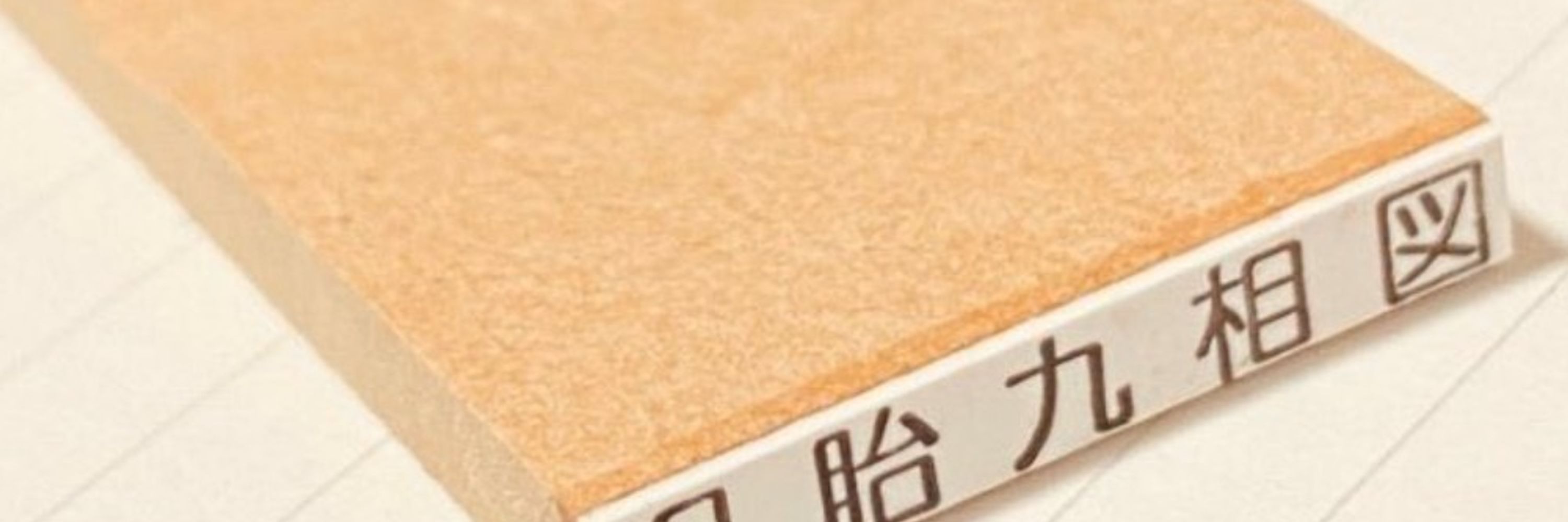 二水群：東6ら17a