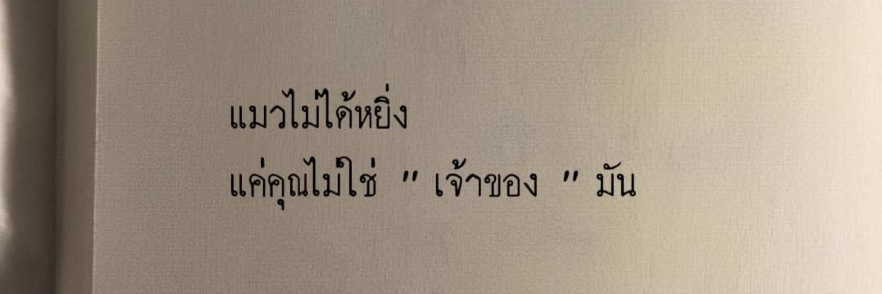 ลูกชิ้นวาฬ