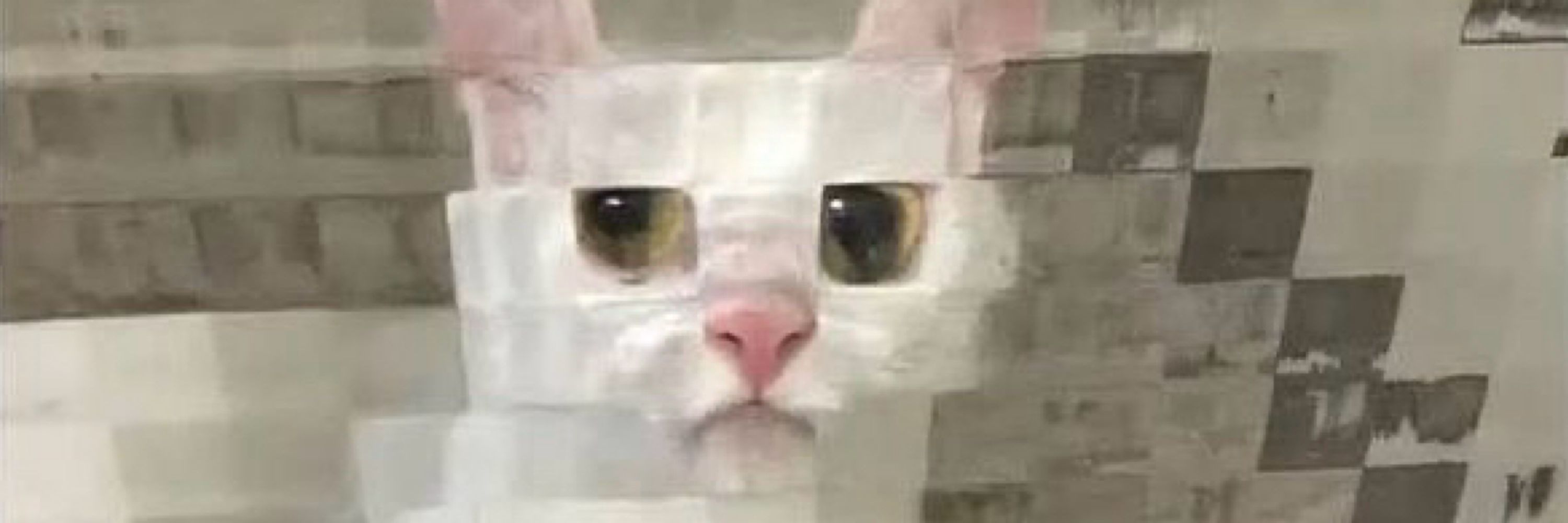 Tsukiya Whiskers