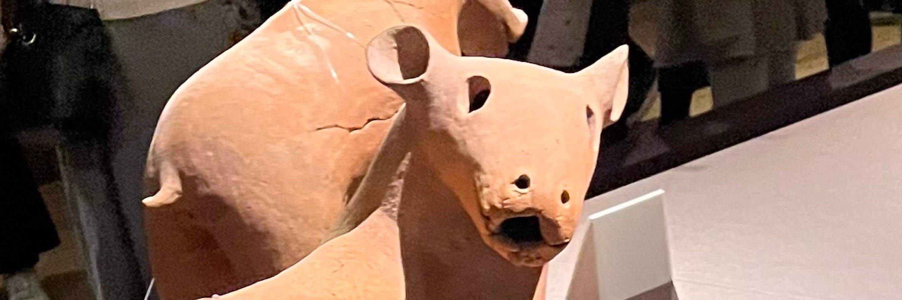 おもち(犬)