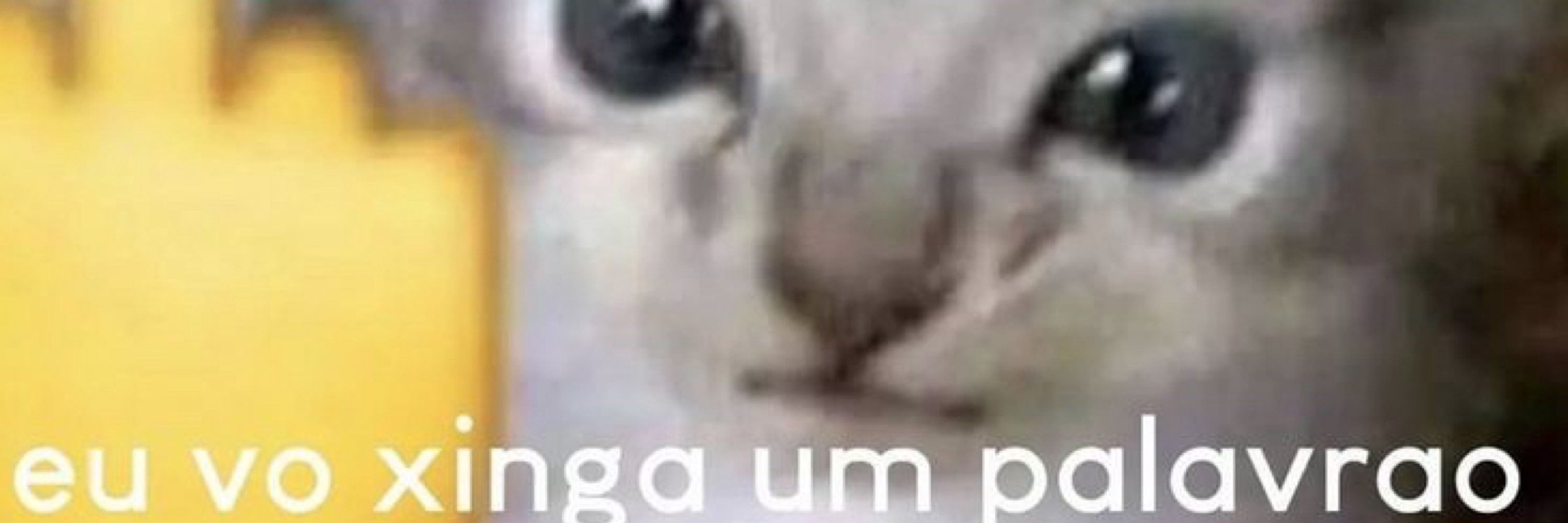 APENAS UM SHAOLIS