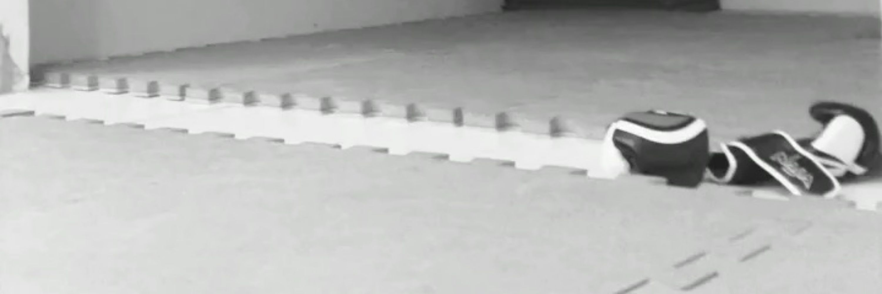 bela
