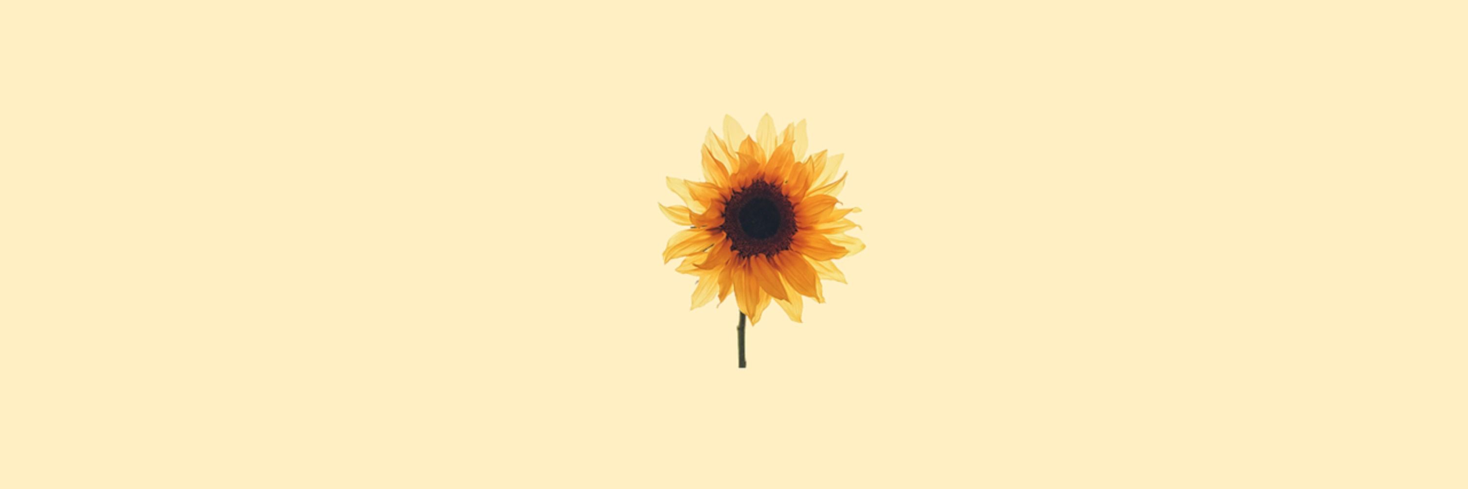 V𝐫o𝐤🌺