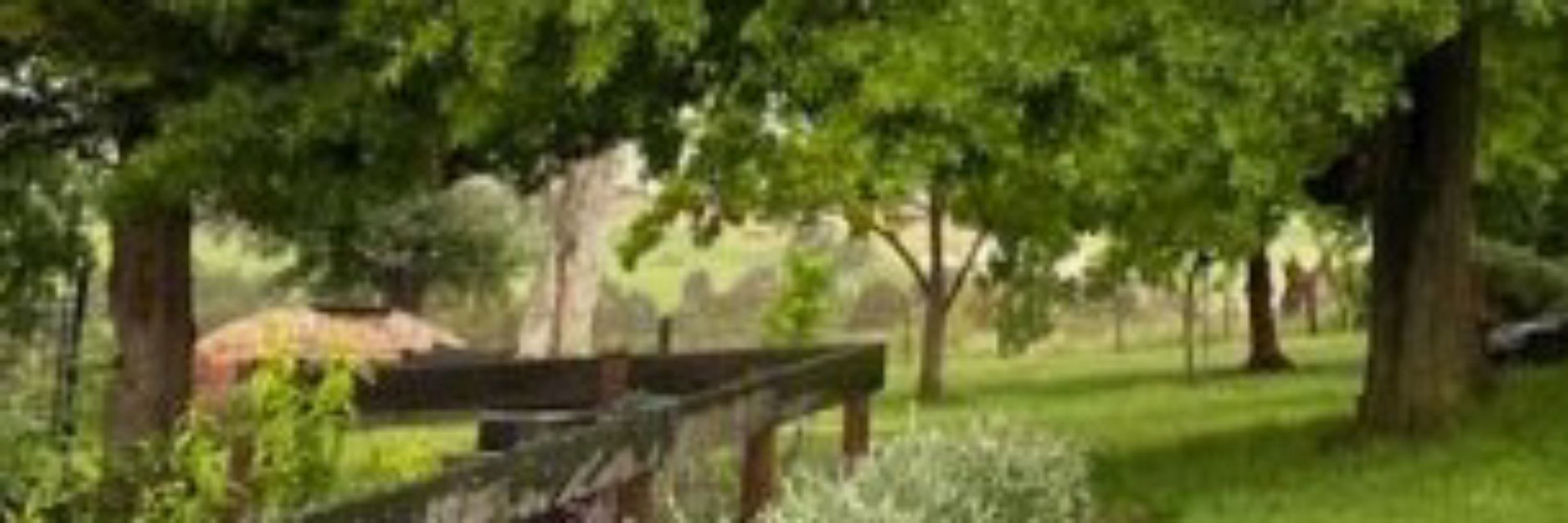 TessThornbury