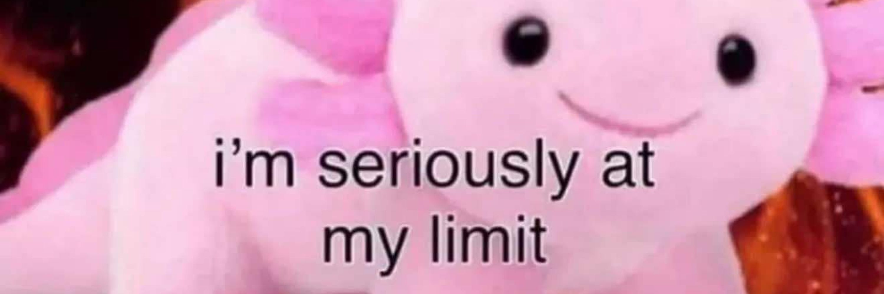 Inimbi