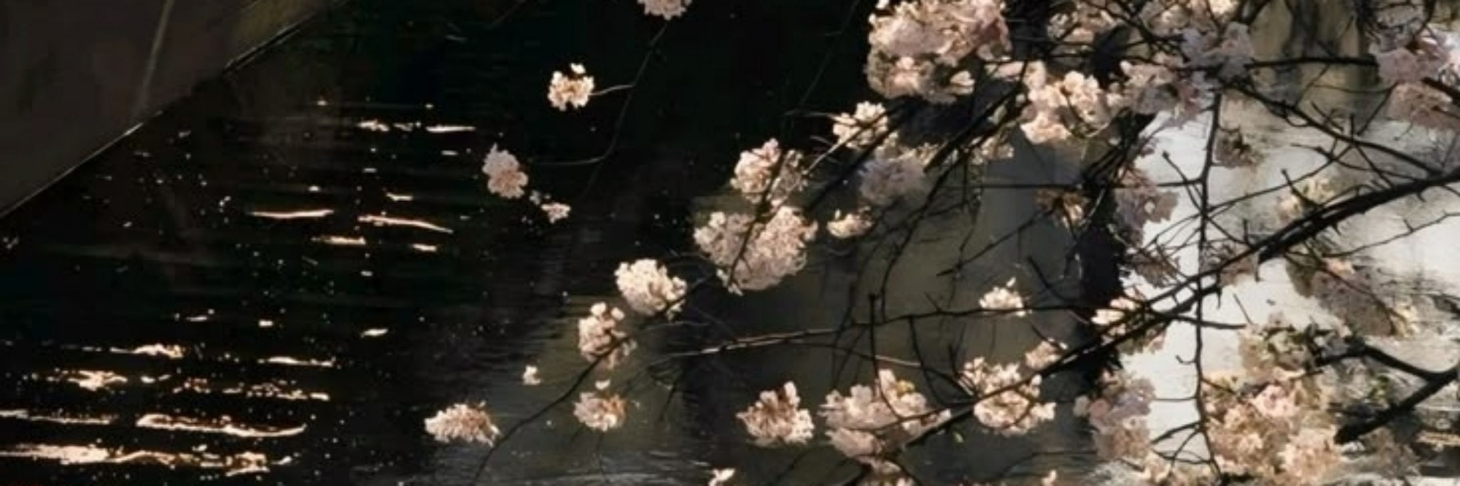 𝙡𝙞𝙣𝙖`°☆   ࿐