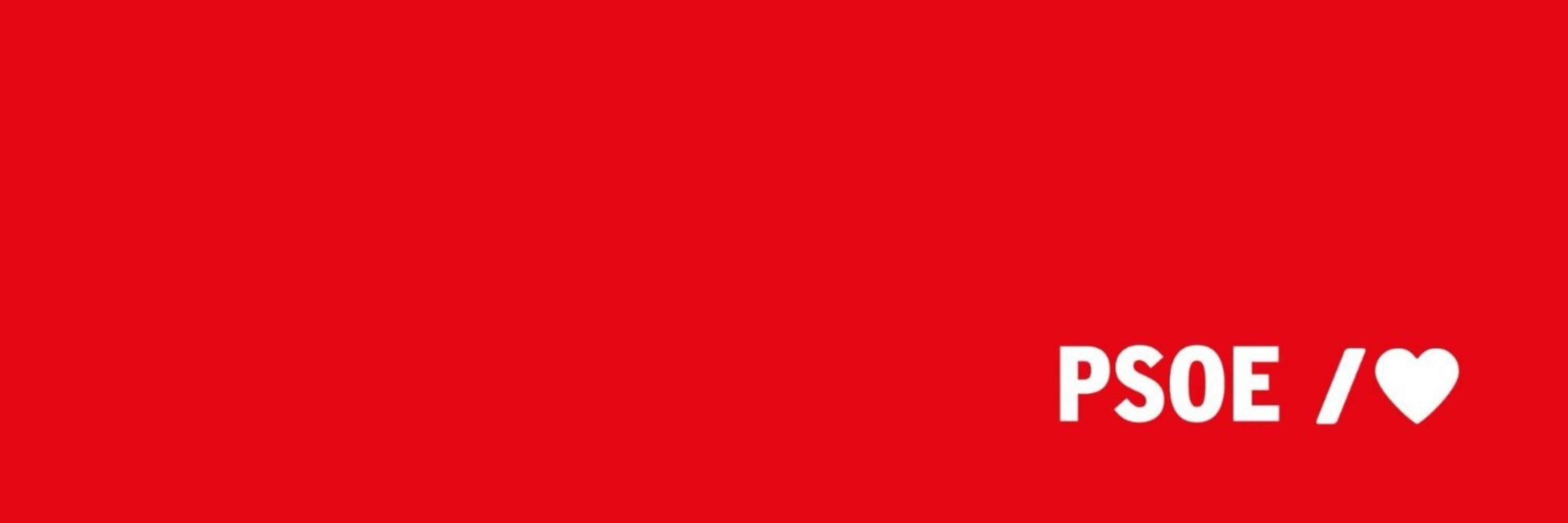 PSOE Elx