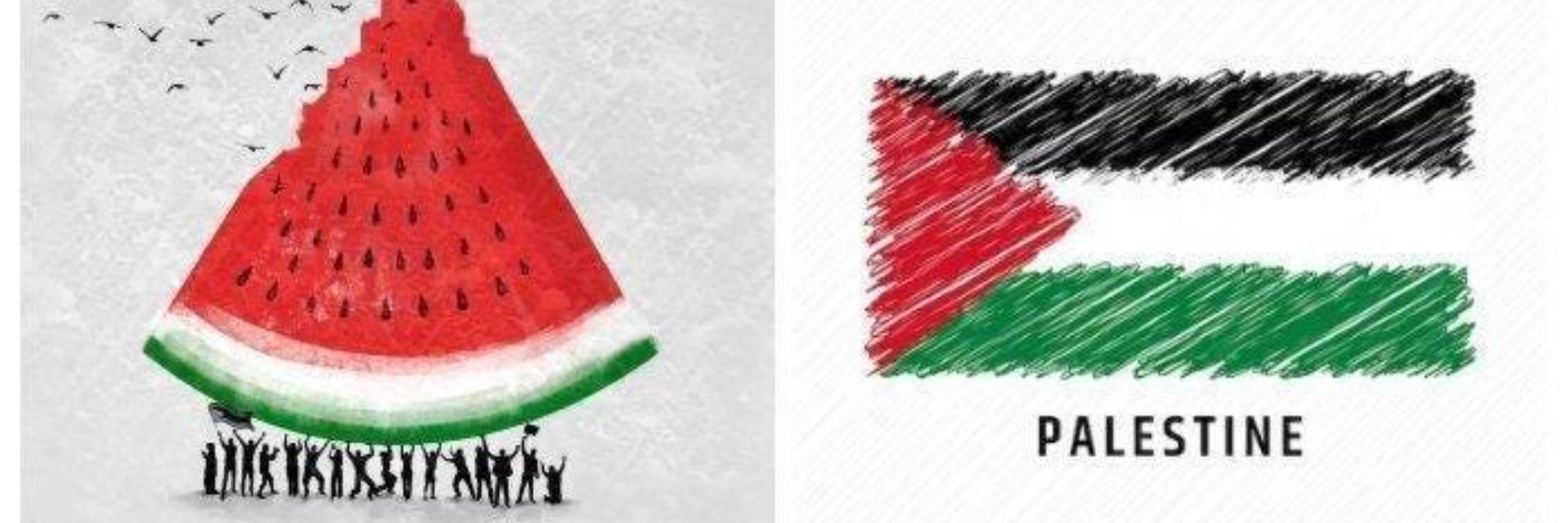 Hazem Shawish 🇵🇸🍉