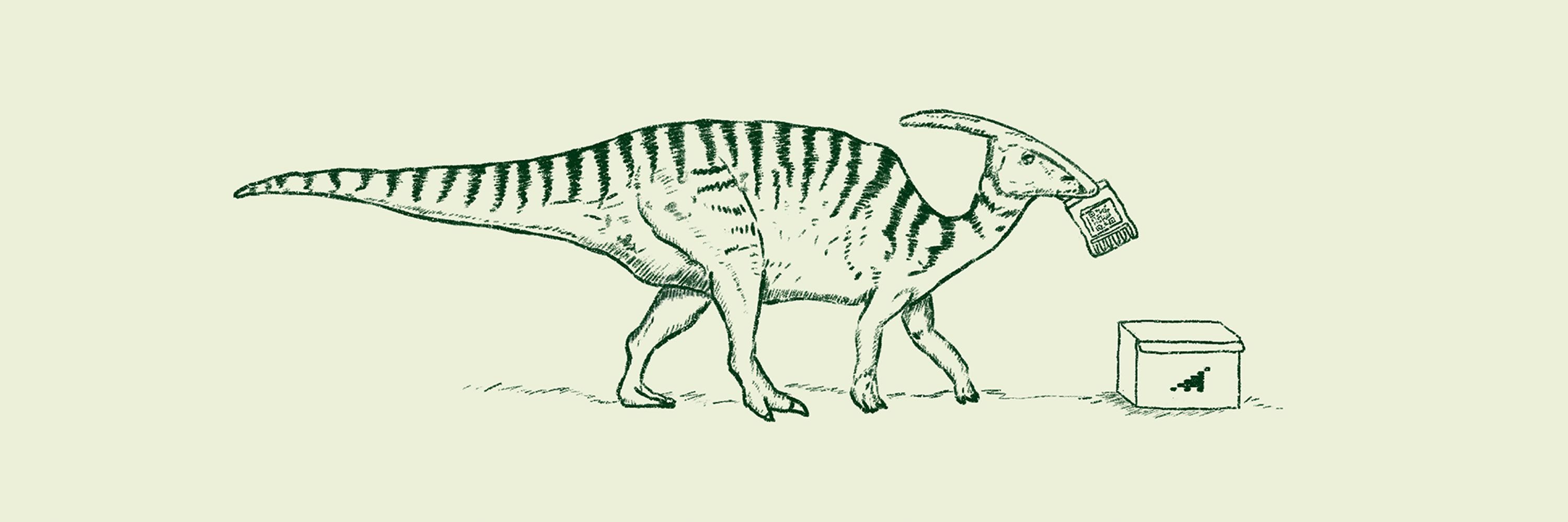 plasmidsaurus