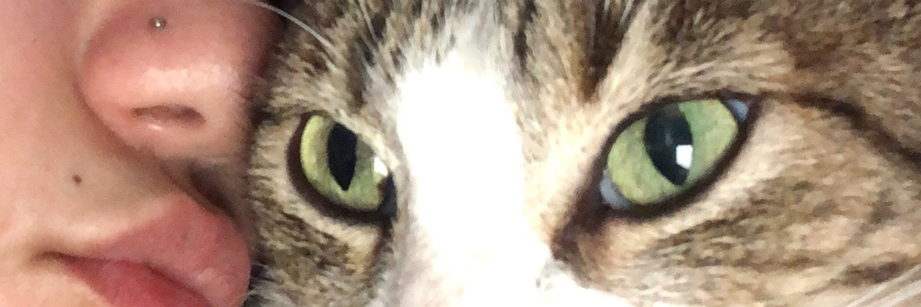 julia