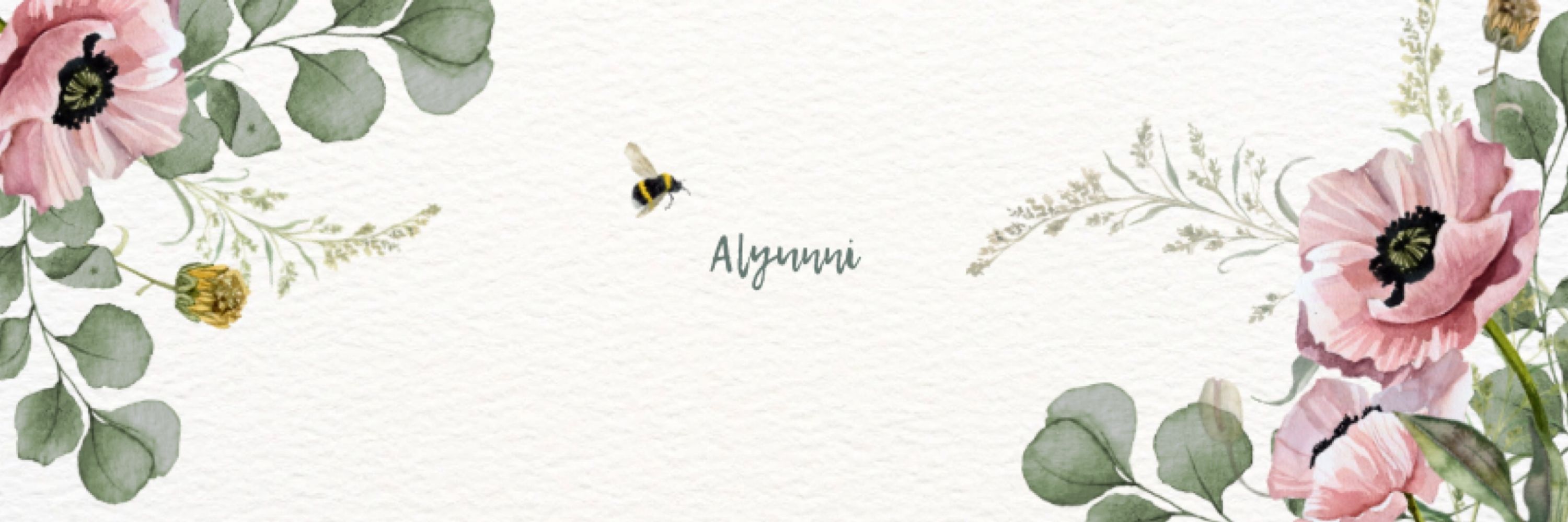 Aly 📚