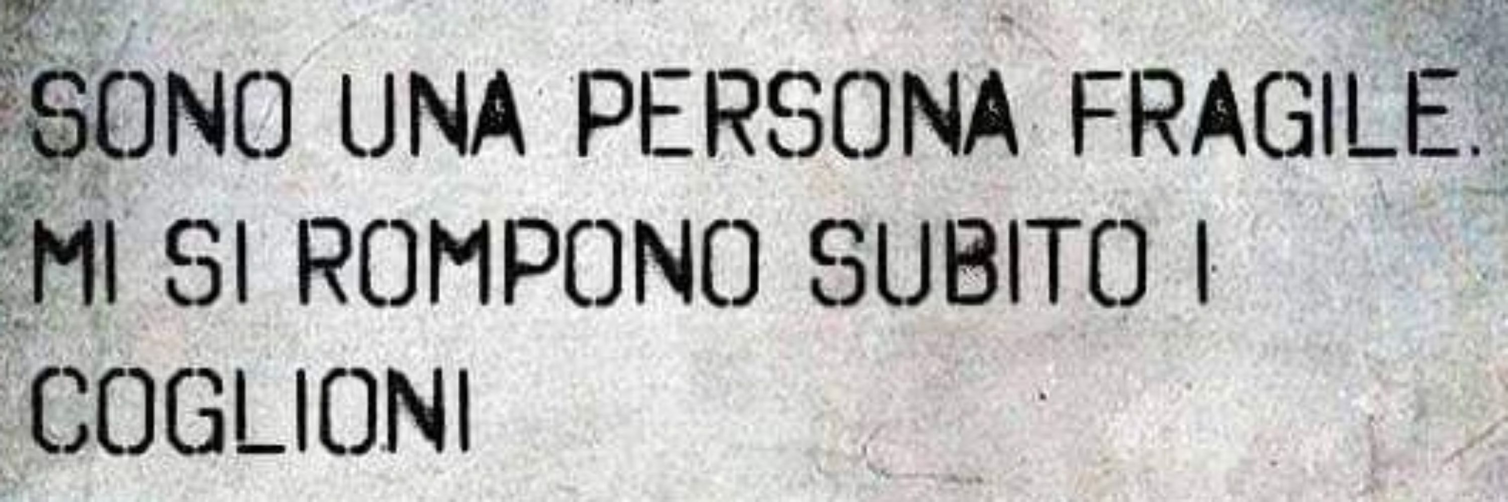 Fricomannaro