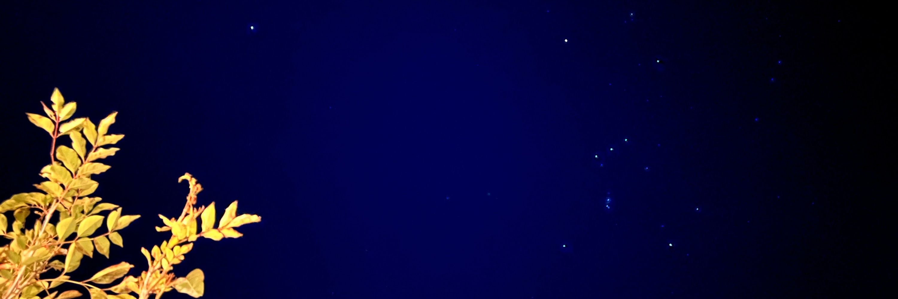 しぇぞ。@ぴ