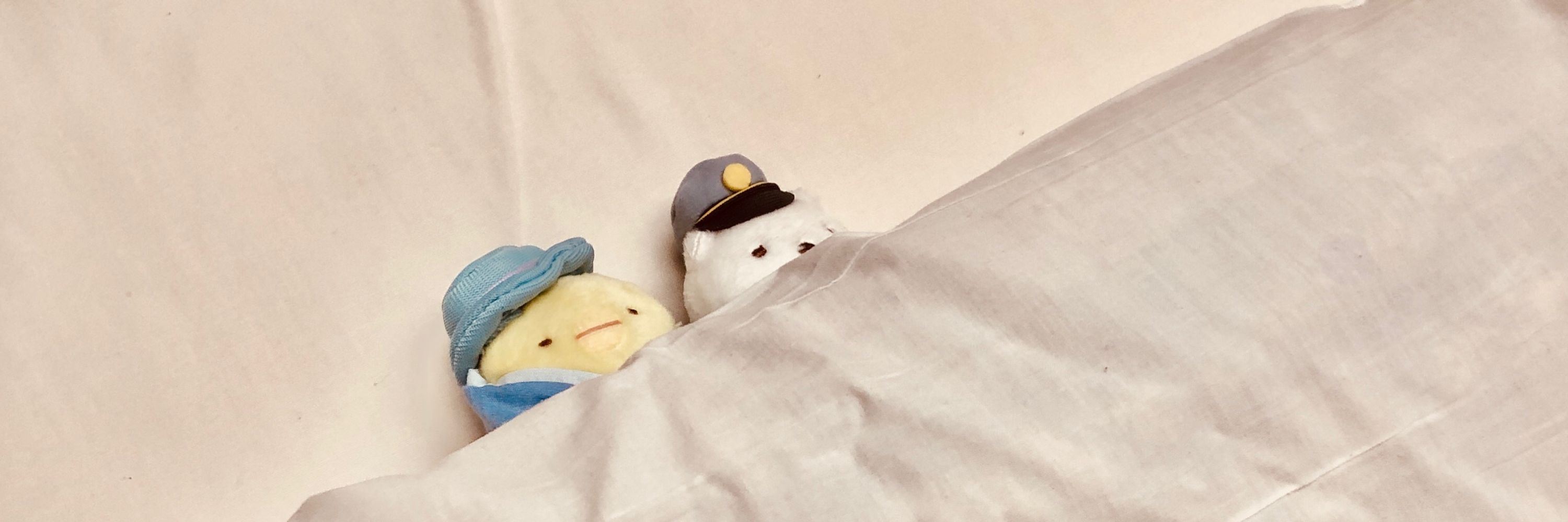 いましめ