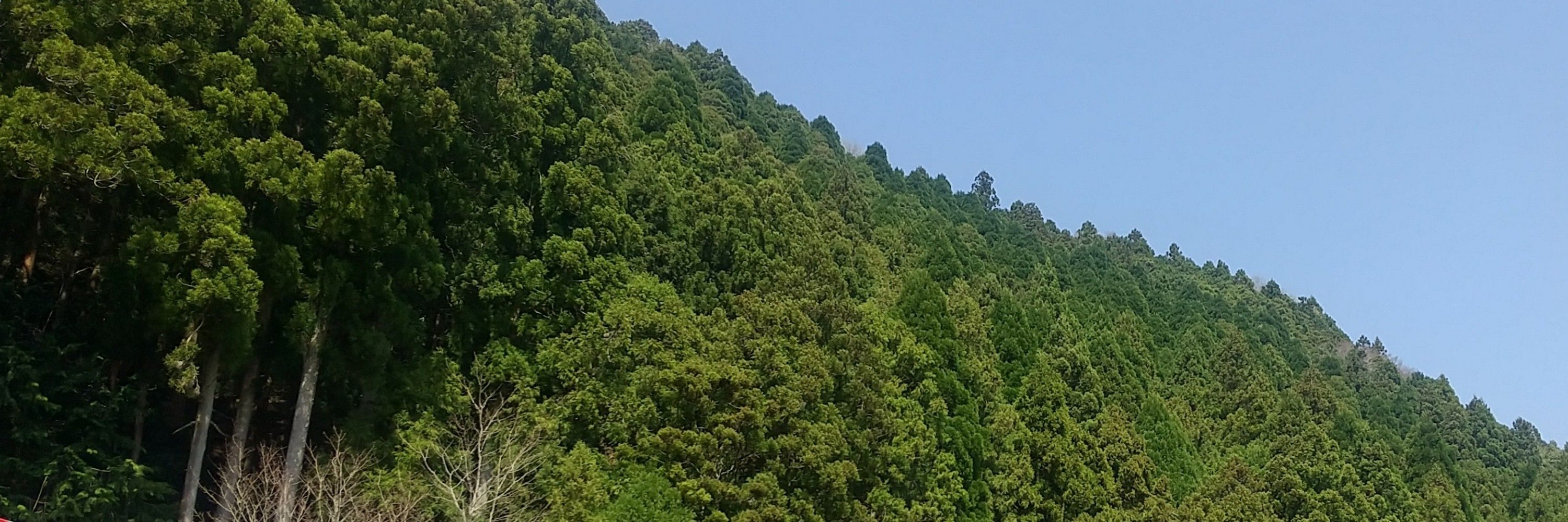 山田 太朗
