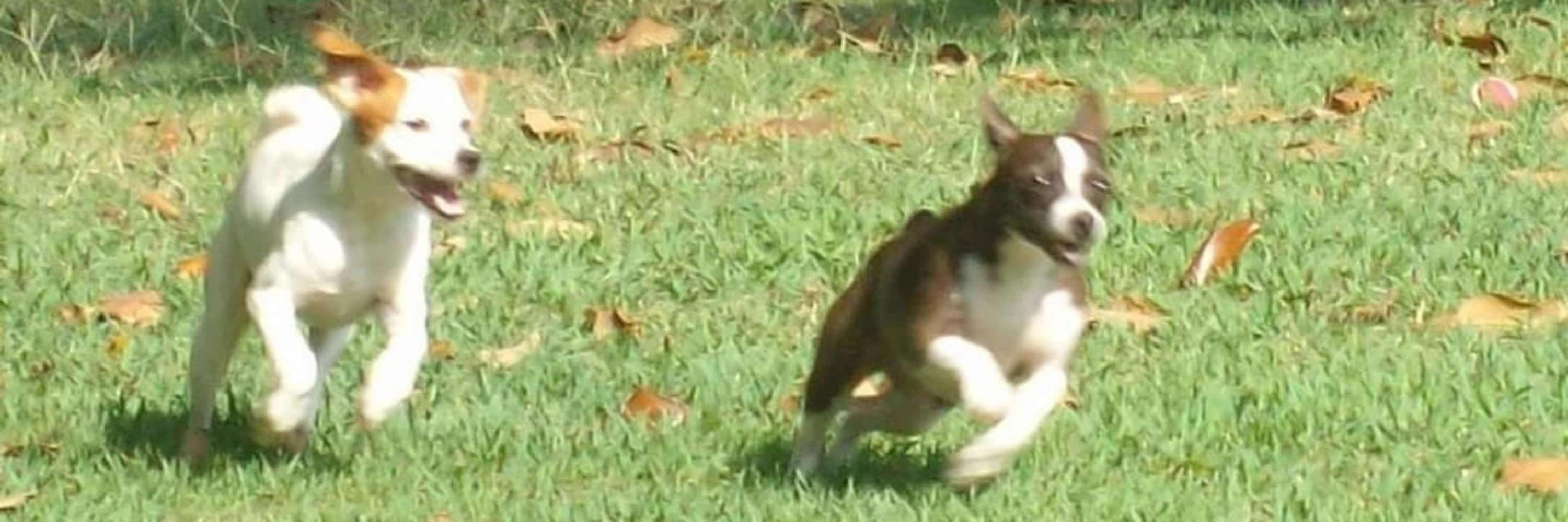 Darla In Texas