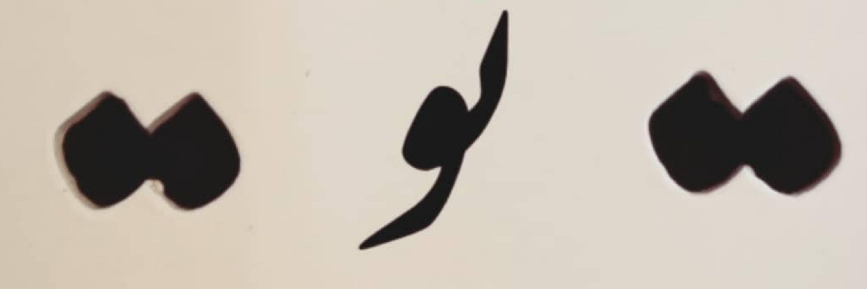 ســــیم‌سین