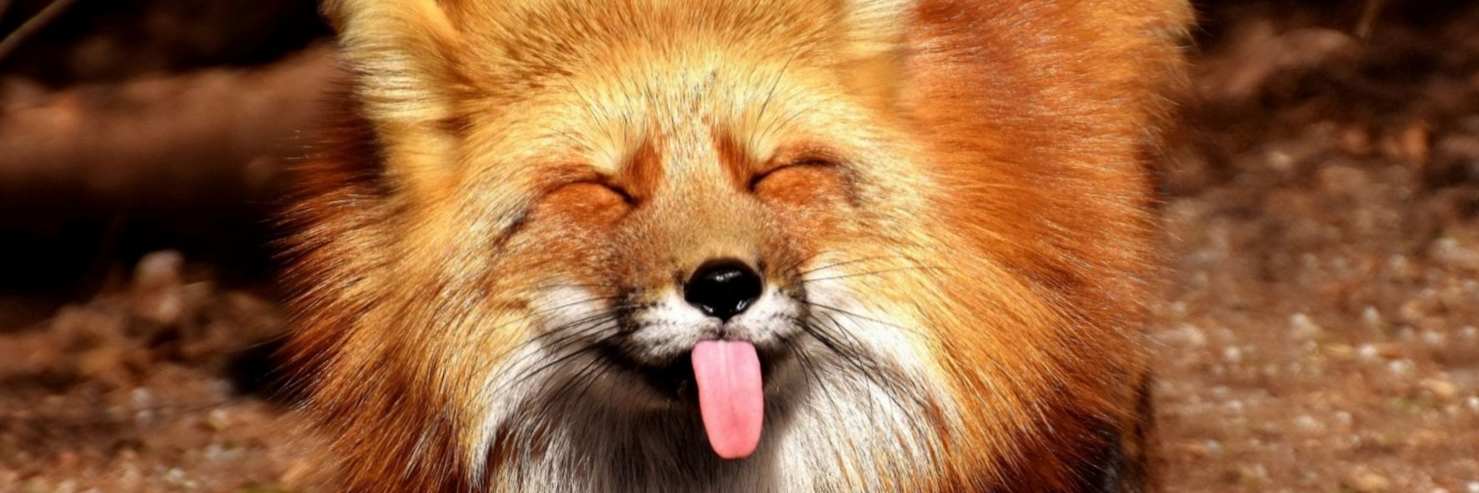 FoxyCapslock