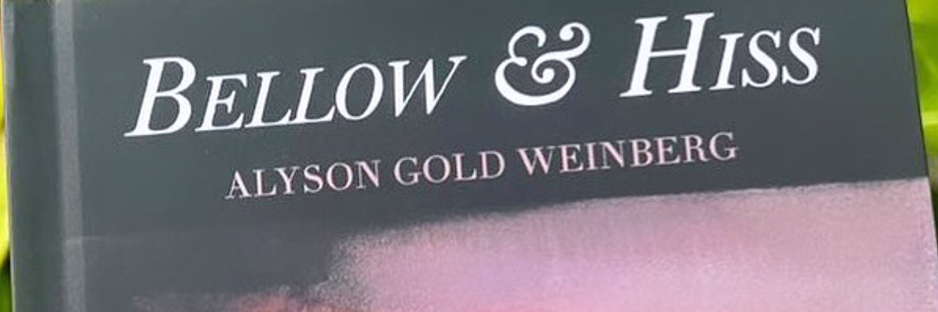 Alyson Gold Weinberg