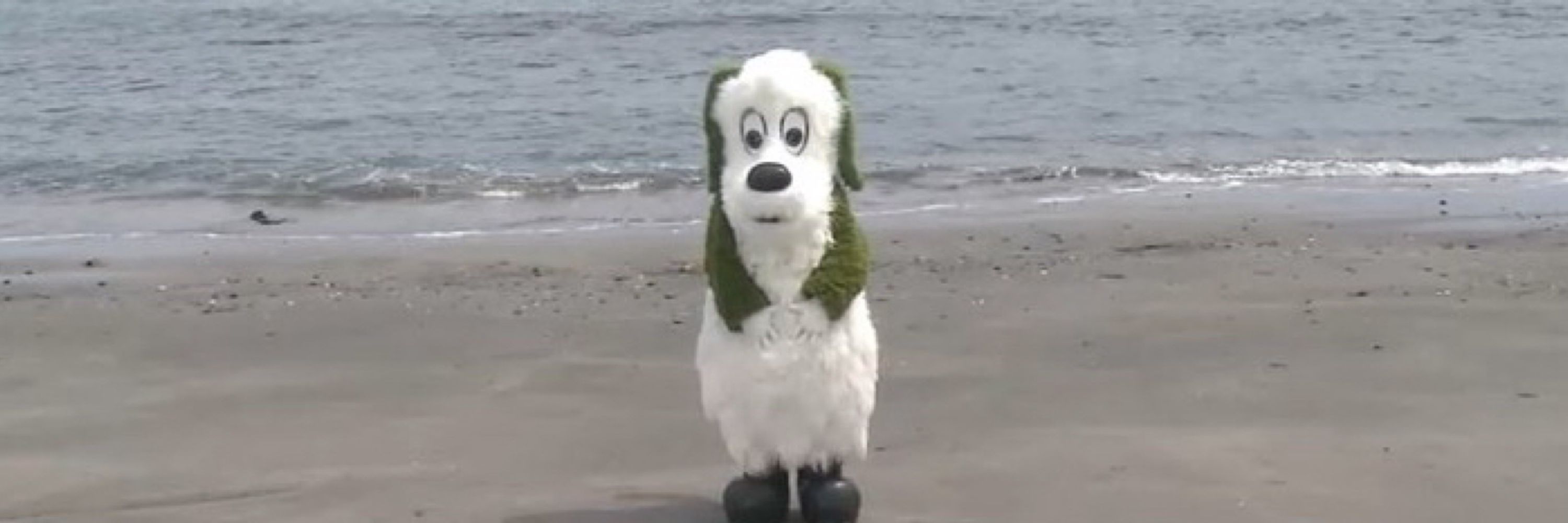 元気です