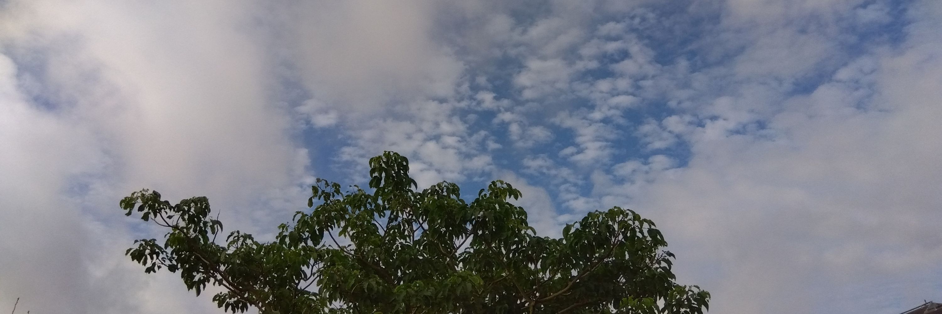 ユウスケサン☀