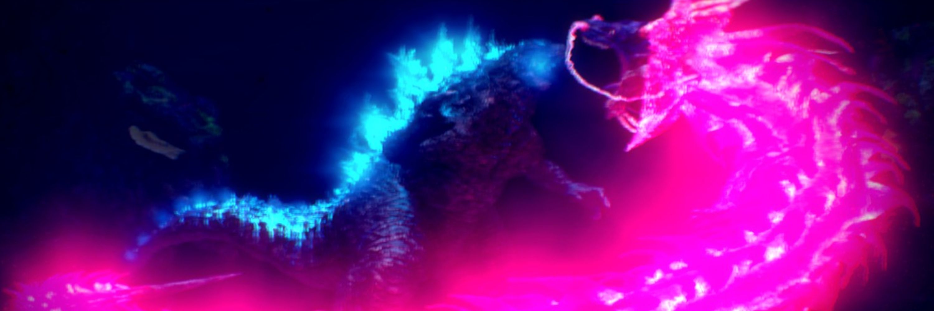 Jack Rex Animations