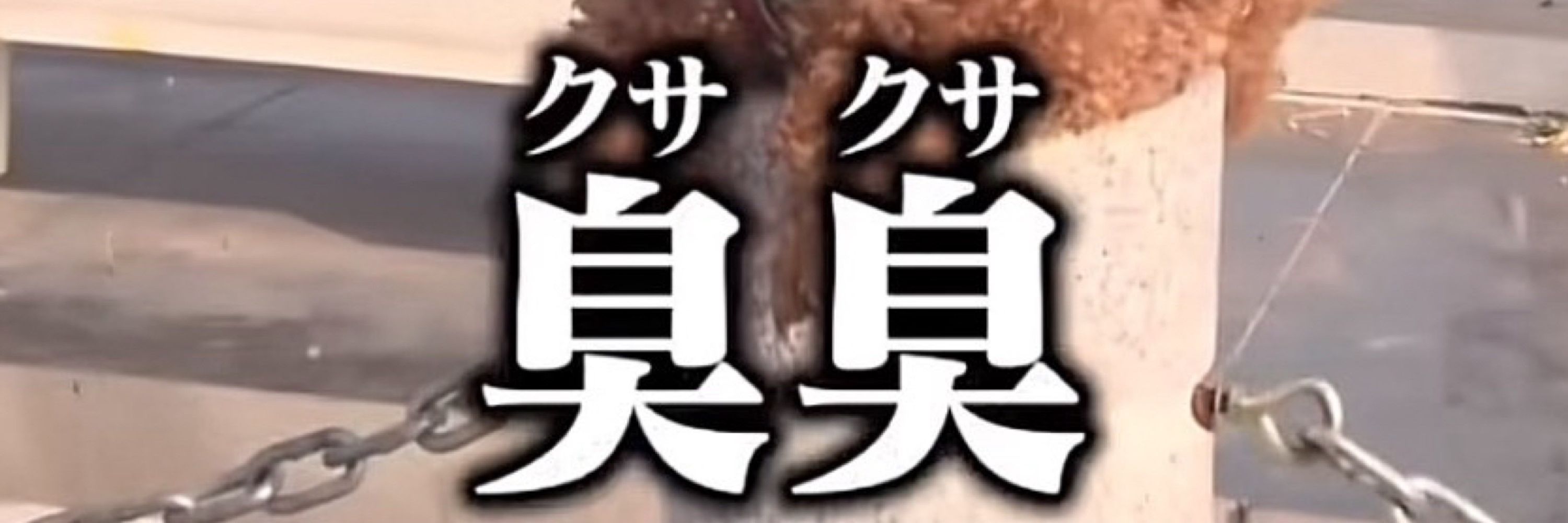 ロイ