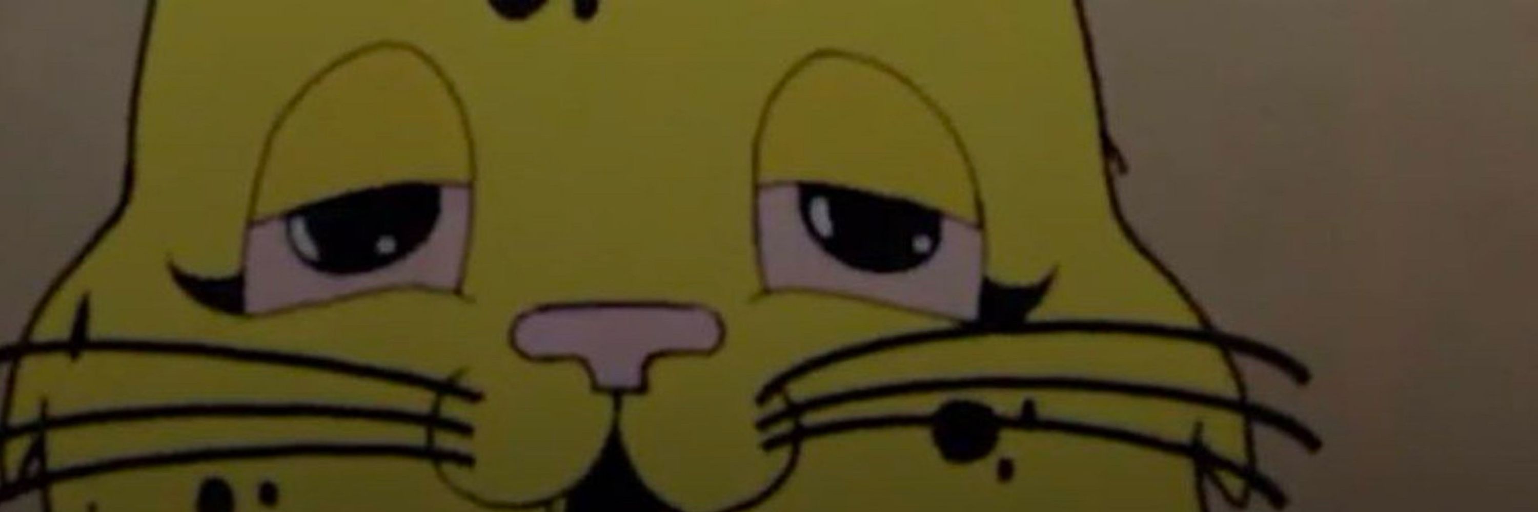 ☯️