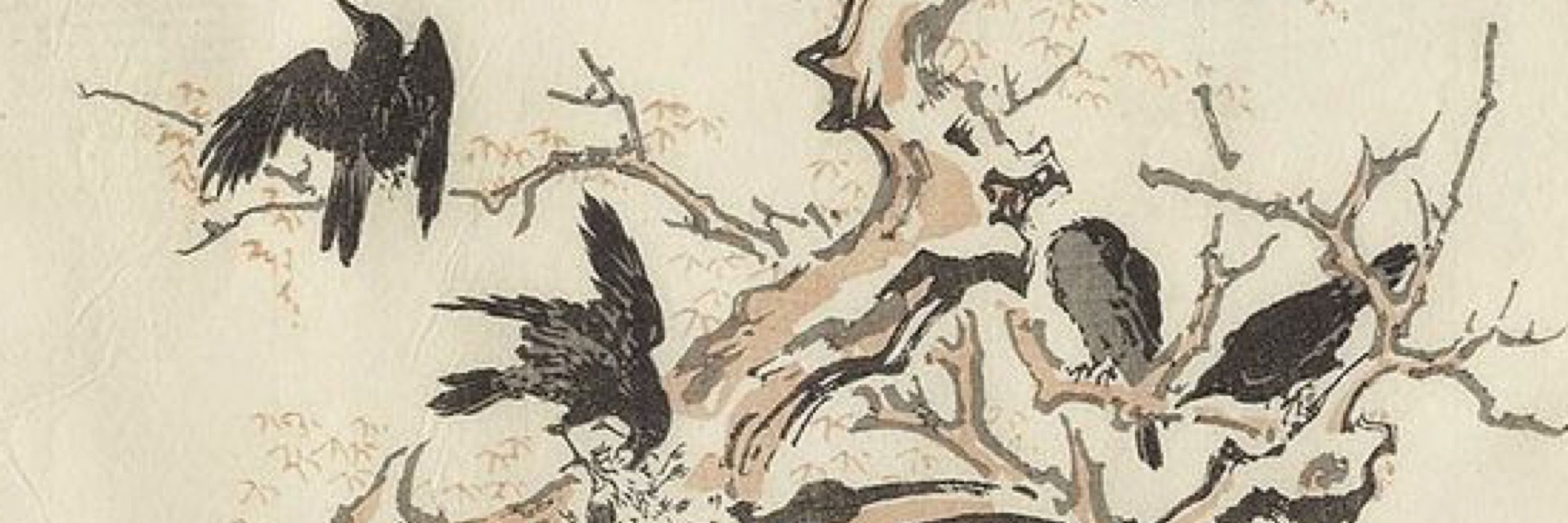 knightcorvidae
