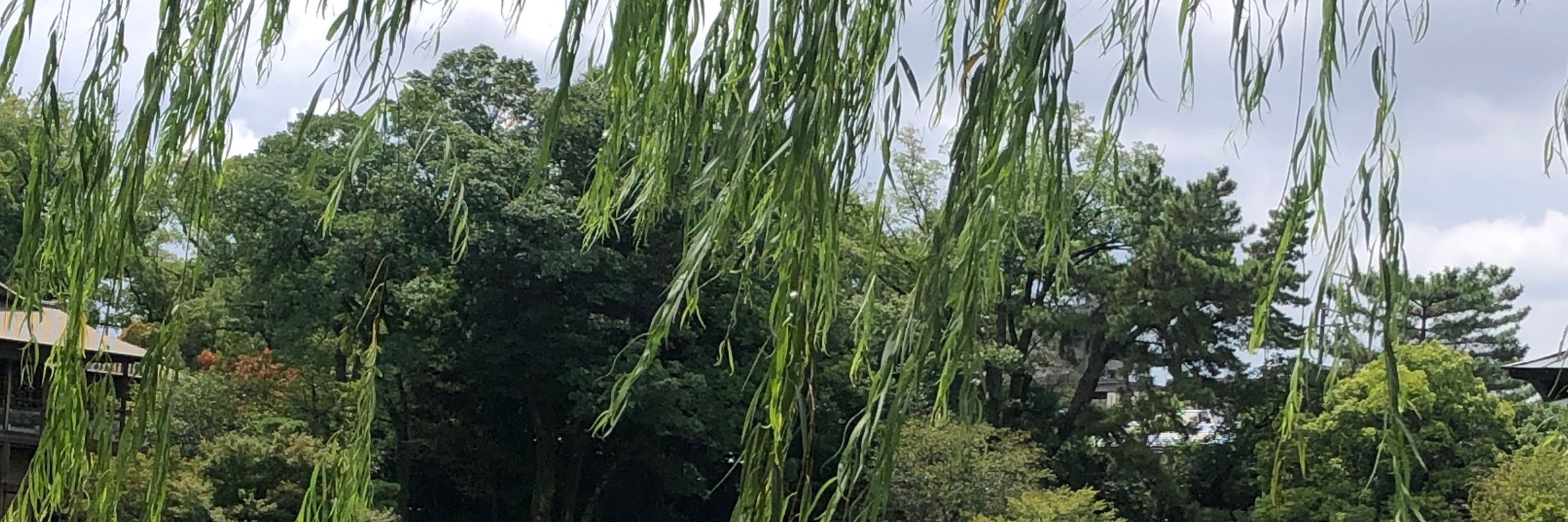 にらたま