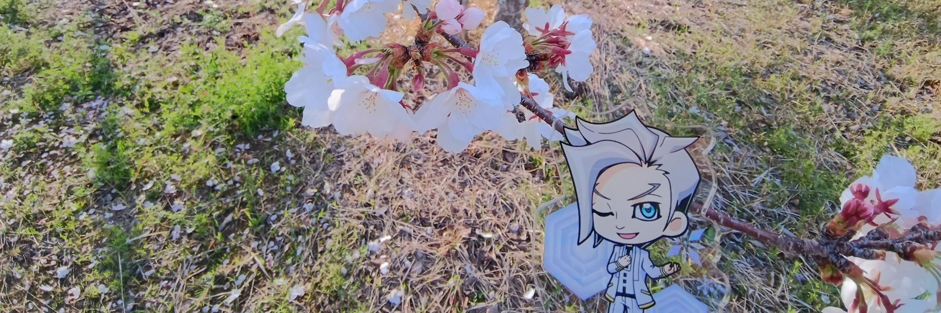 あぶぶ