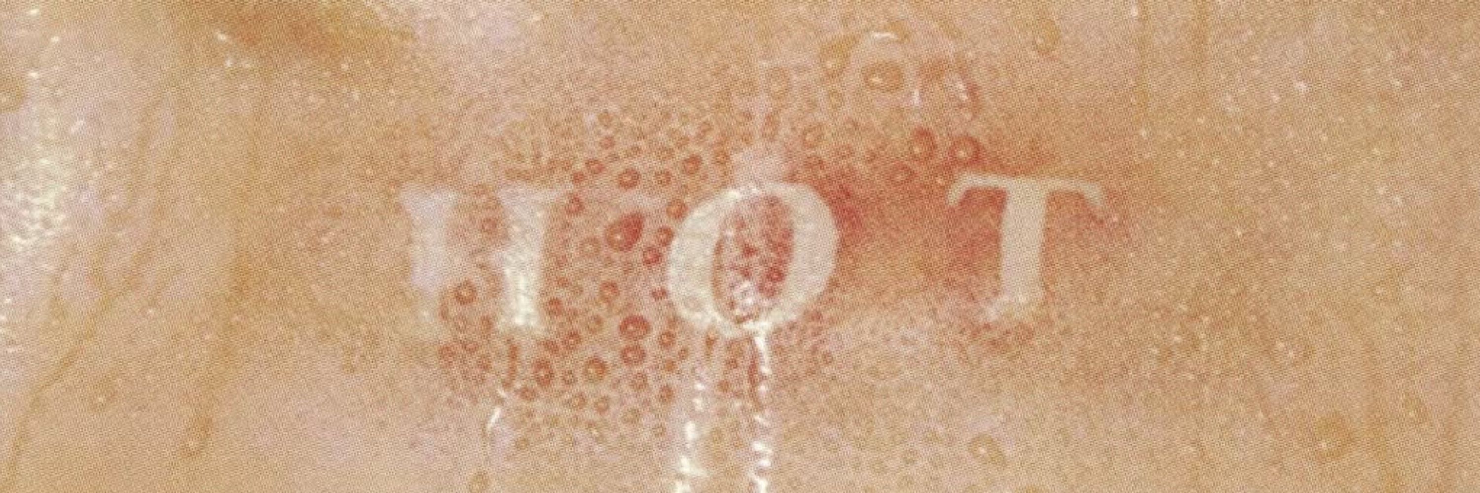 JELLYFISH