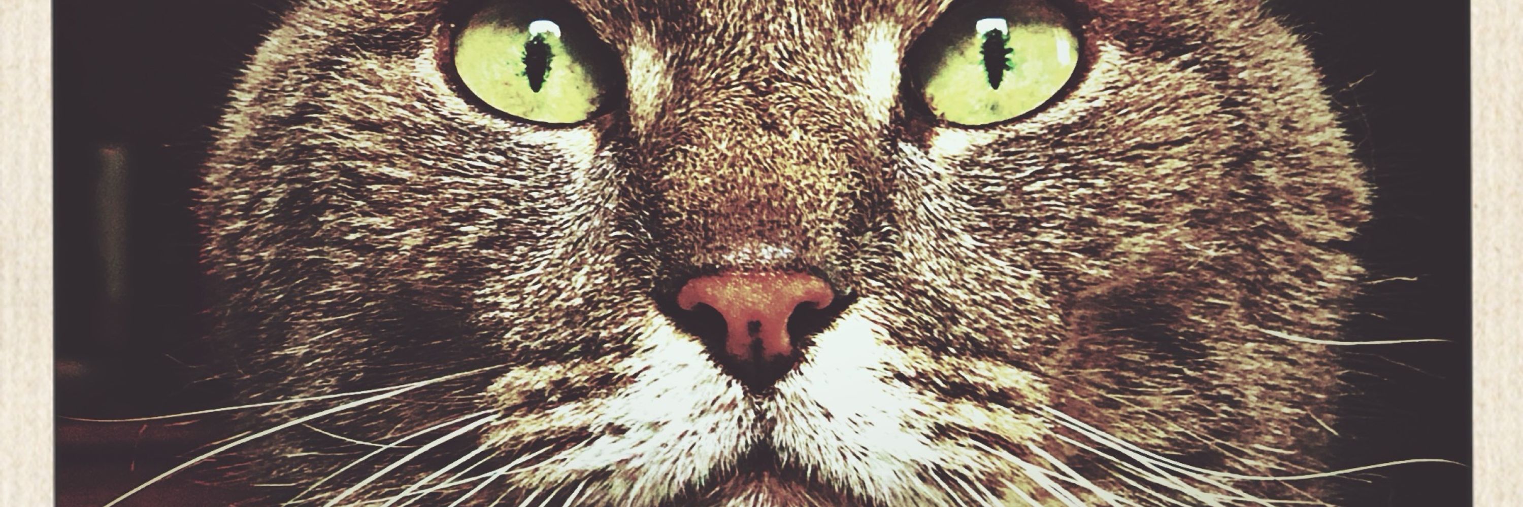 Henry