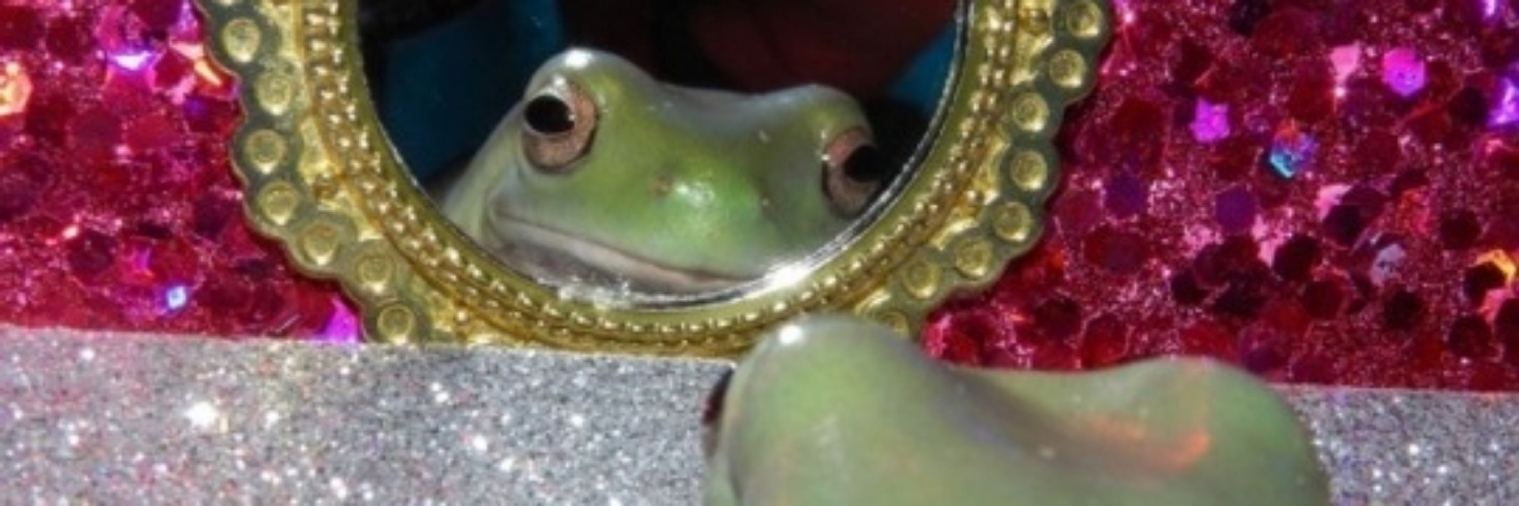Laura's wagamama body