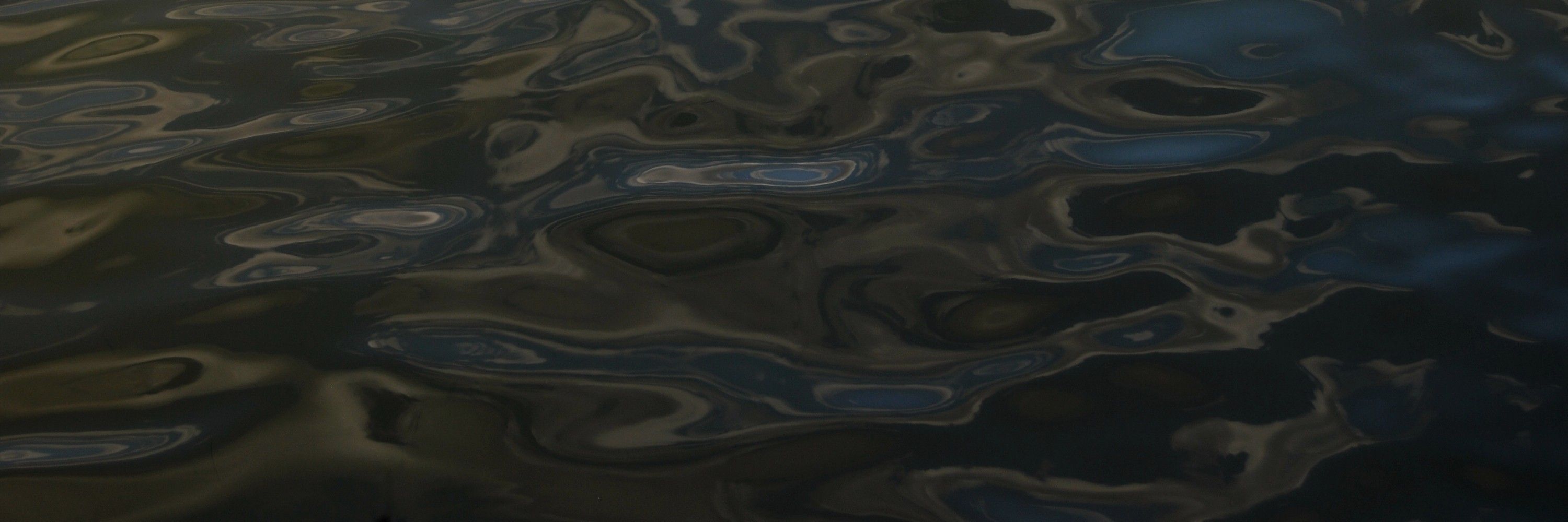river of grass