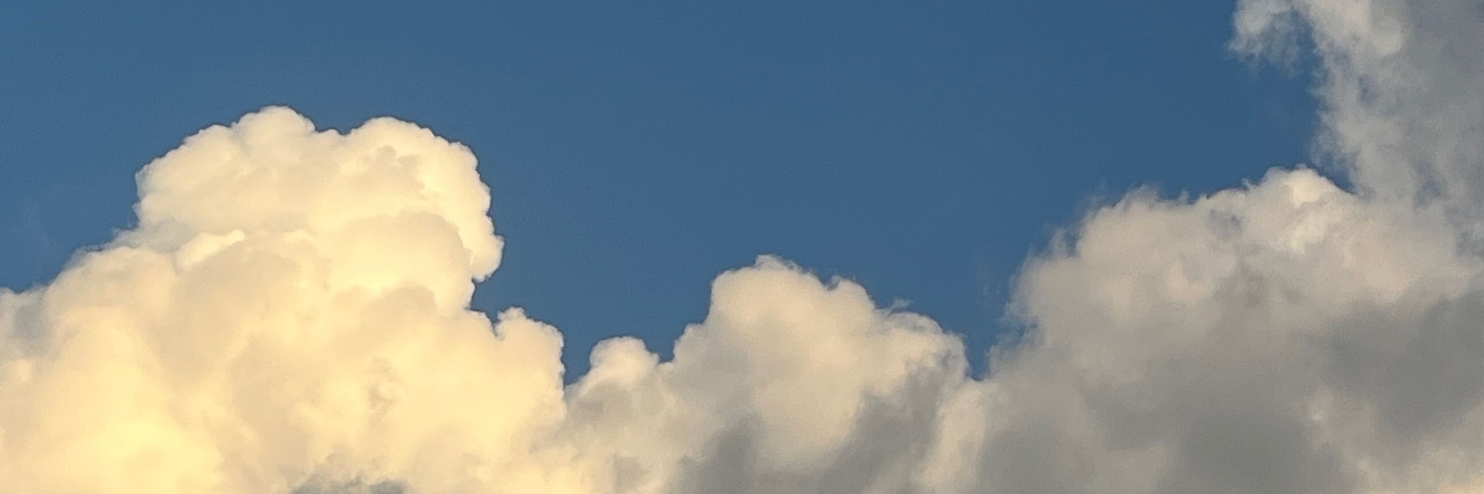 やまだ