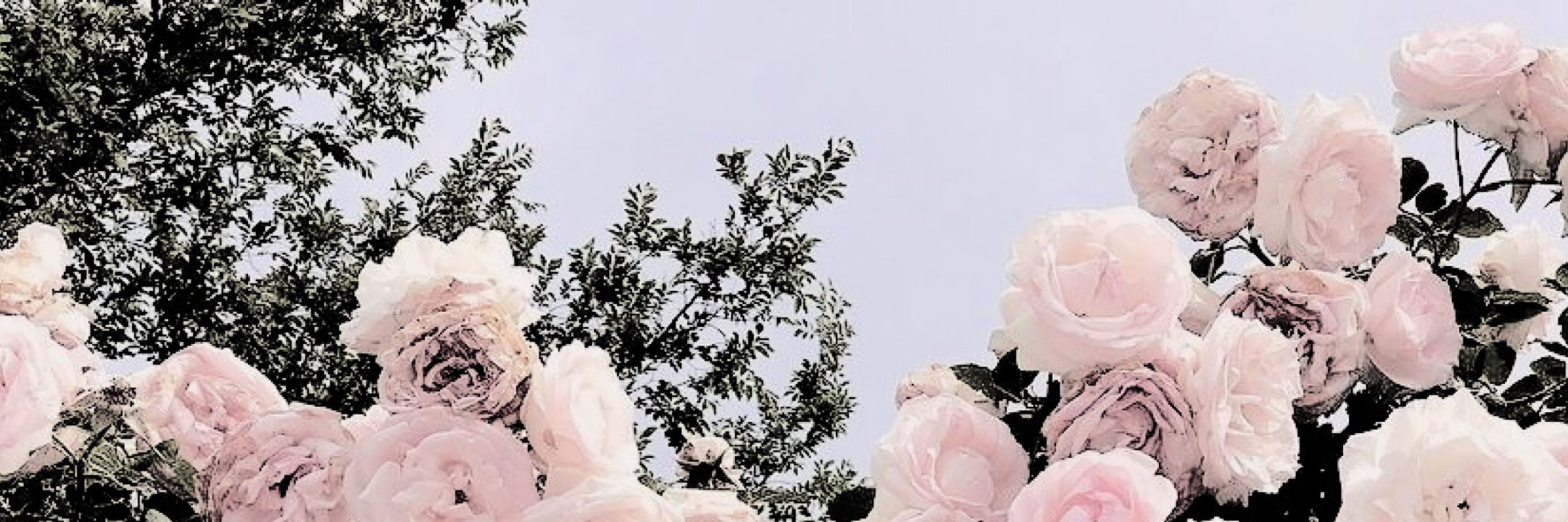 ⠀  ⠀ 𝓜𝐔-𝓓𝐀𝐍 .ᐟ  ✿  𓄹 . ˚