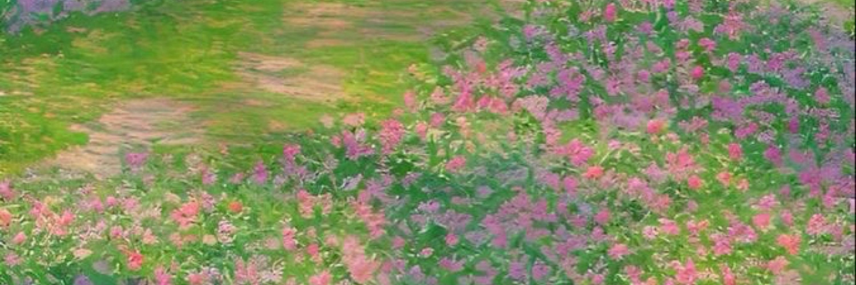 Katy 🌱🌸