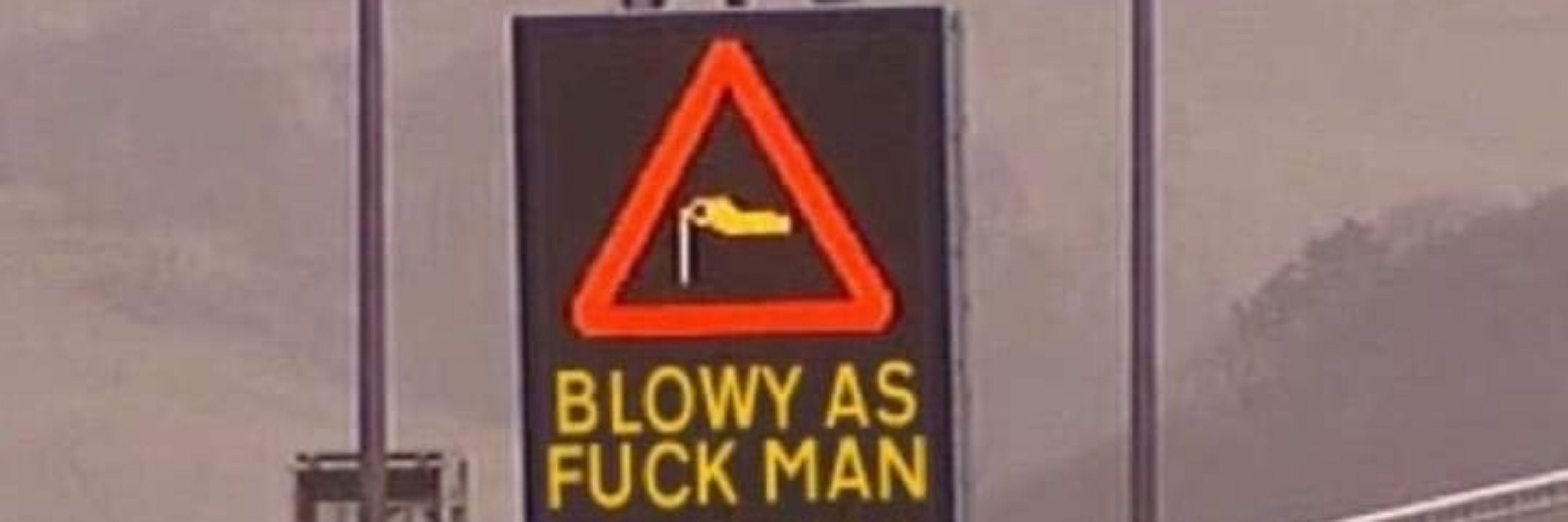 Matthew Moloney