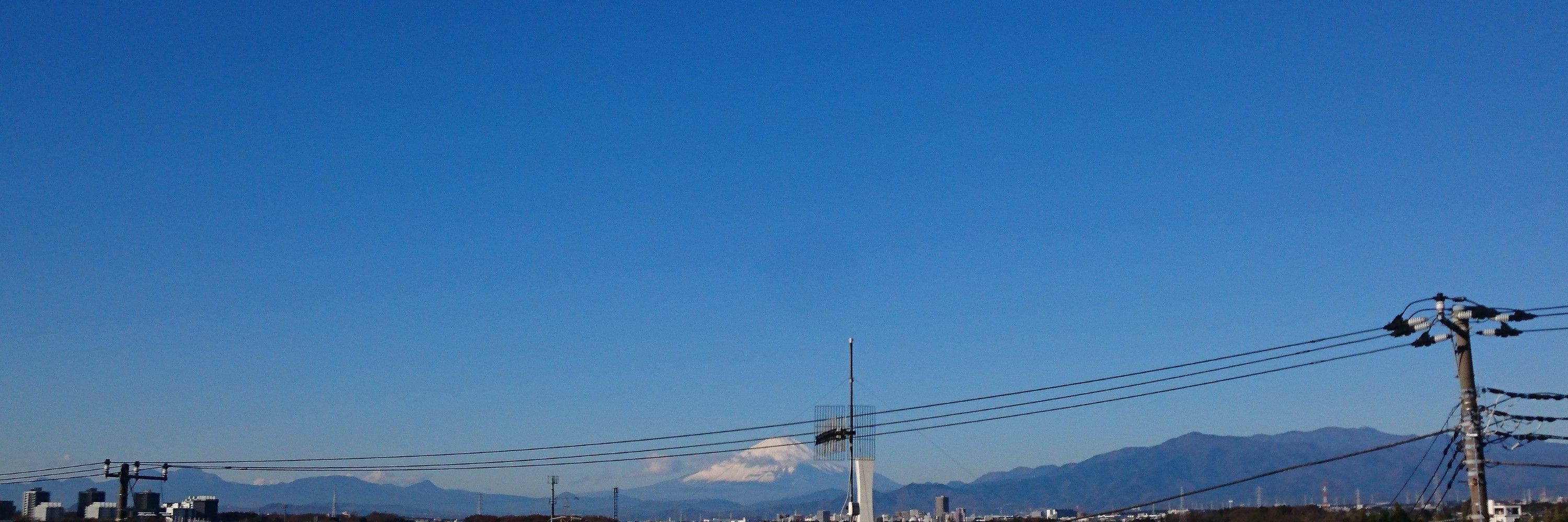 パルキチ