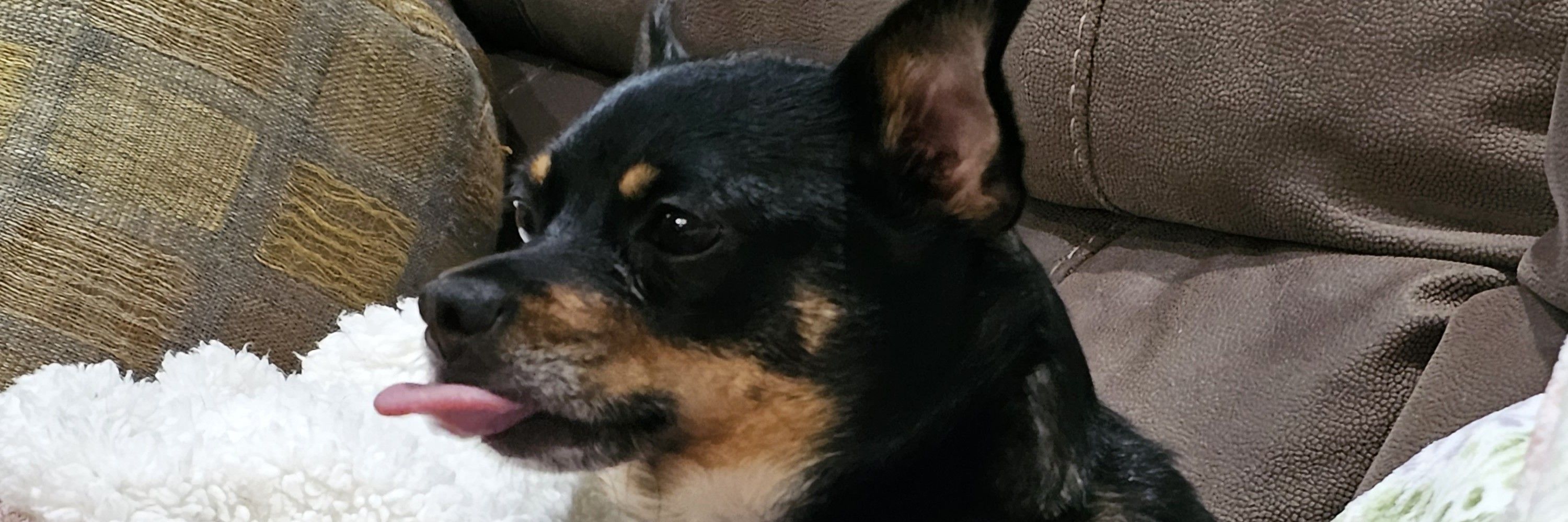 Steven