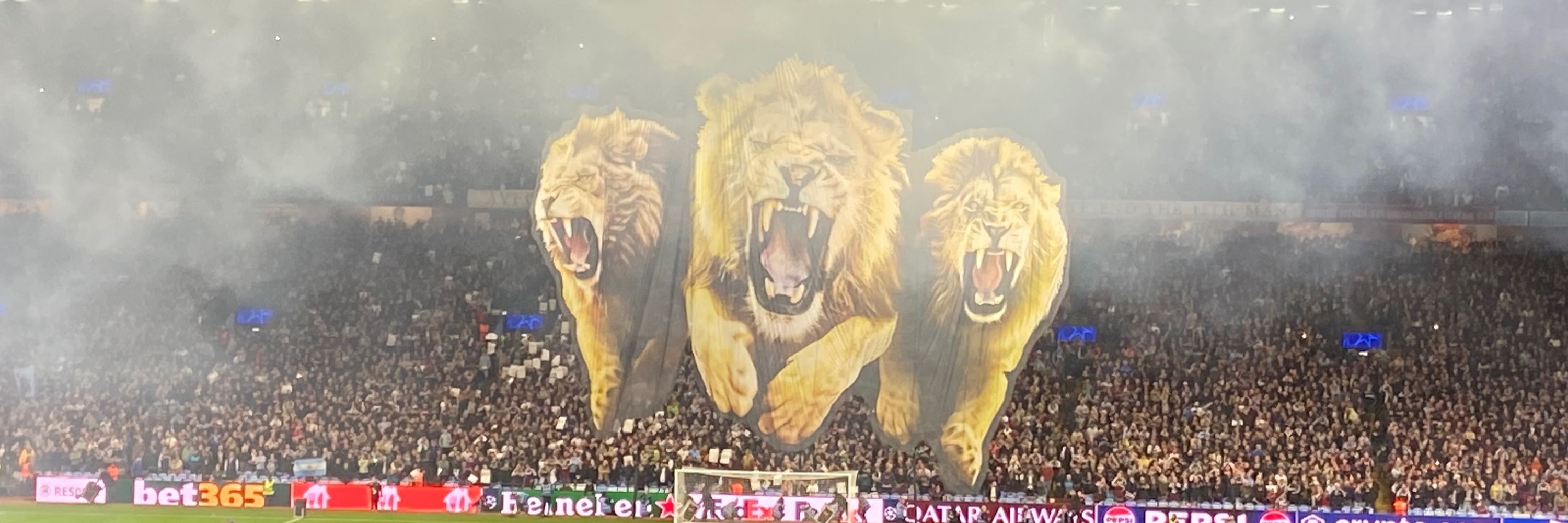 Vicky 🦁