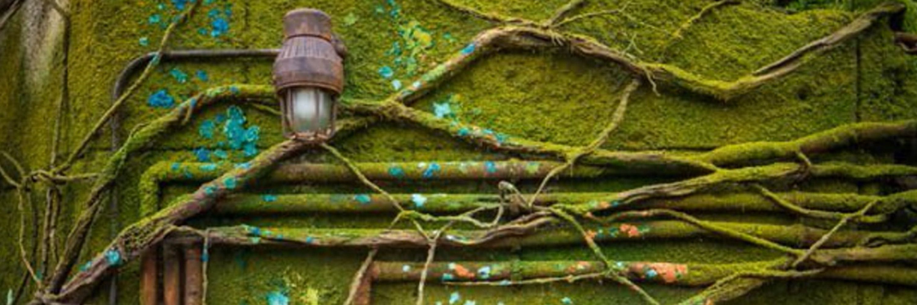 Rusty Pipe