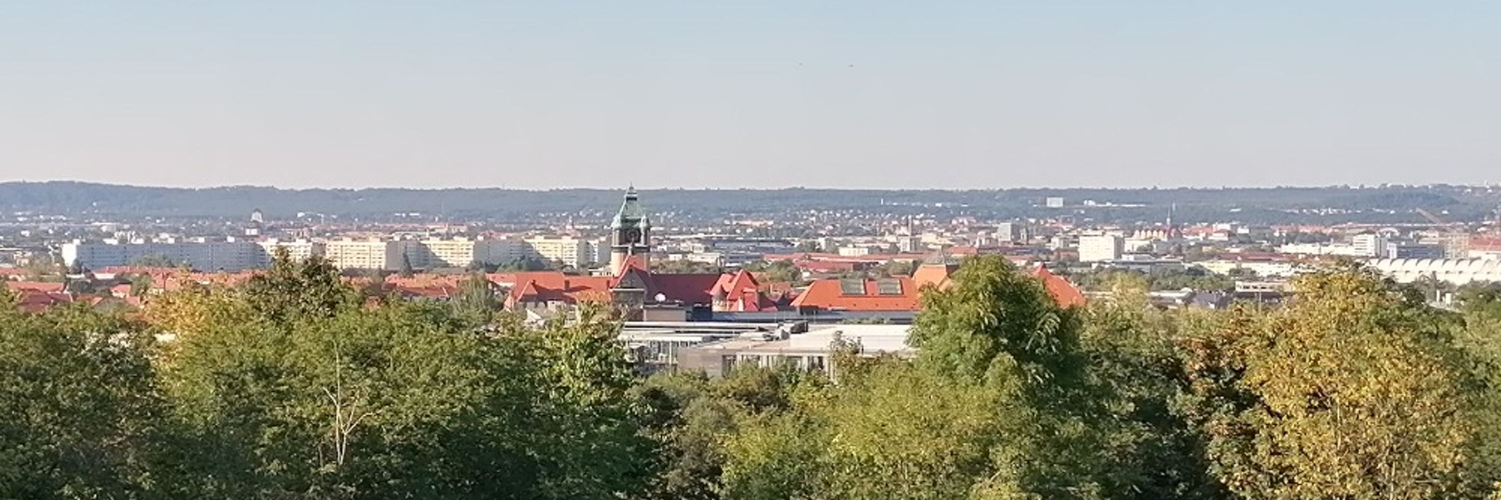 Apfelkuchen